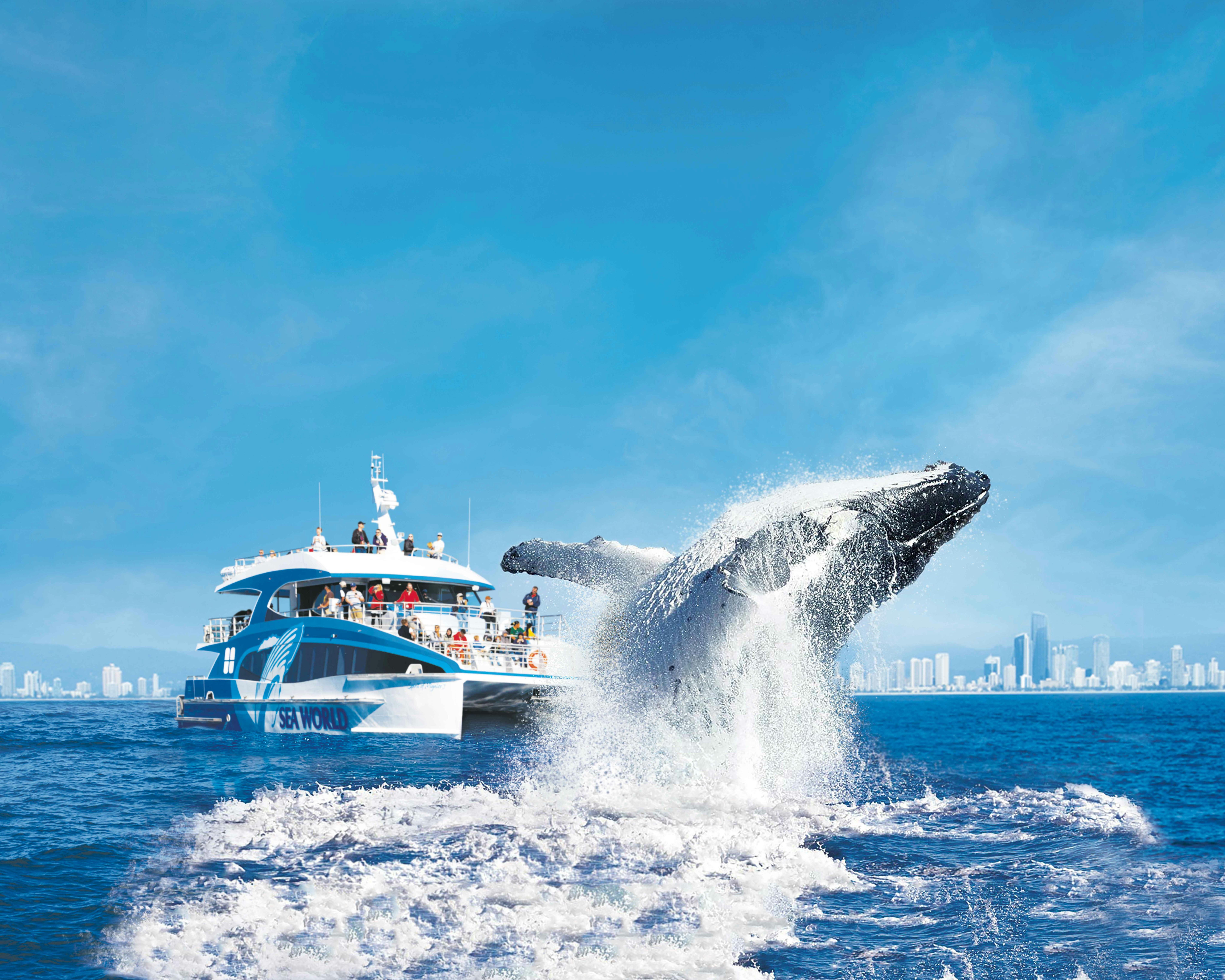 Whale breaching
