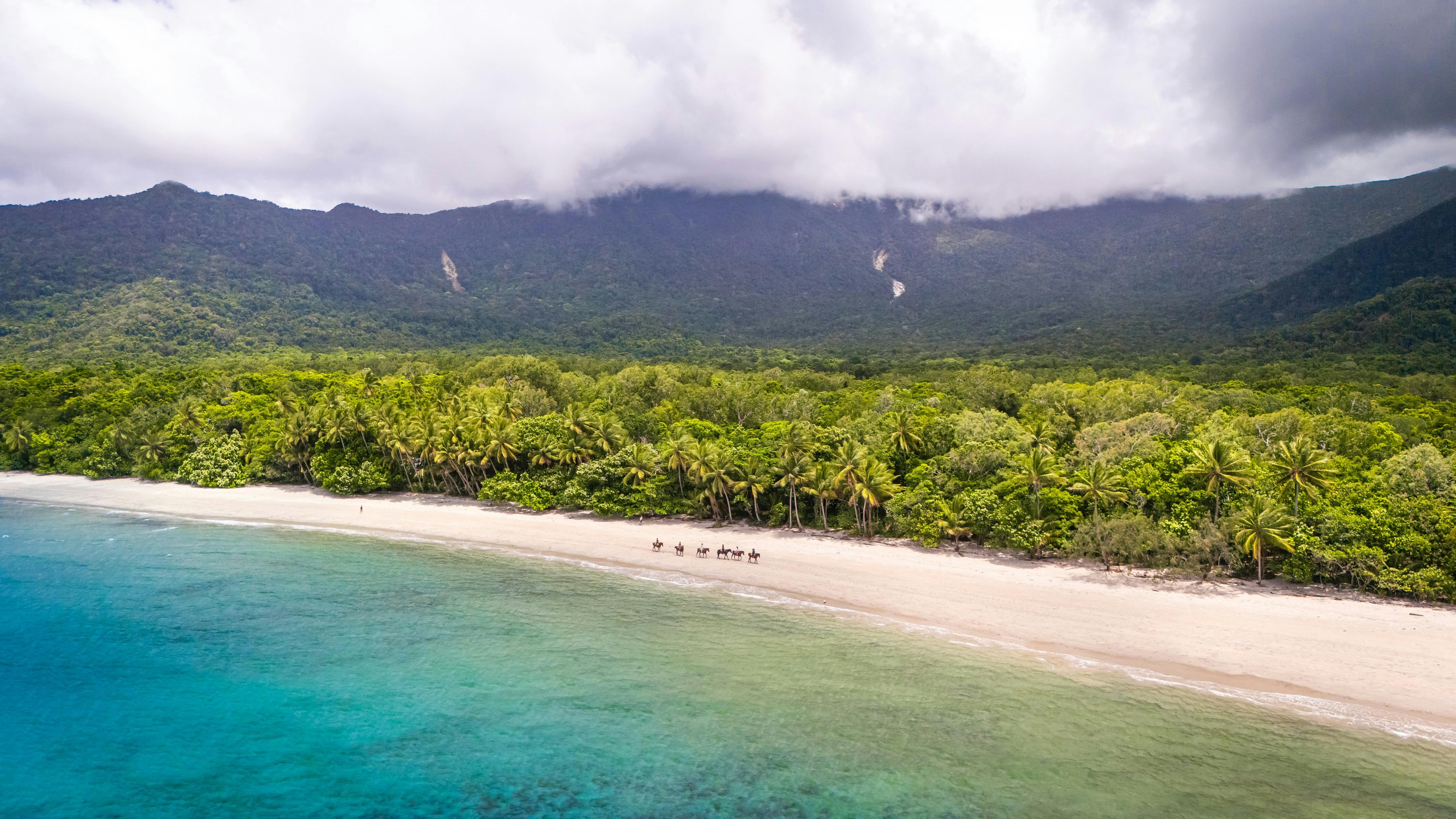 Cape Tribulation image