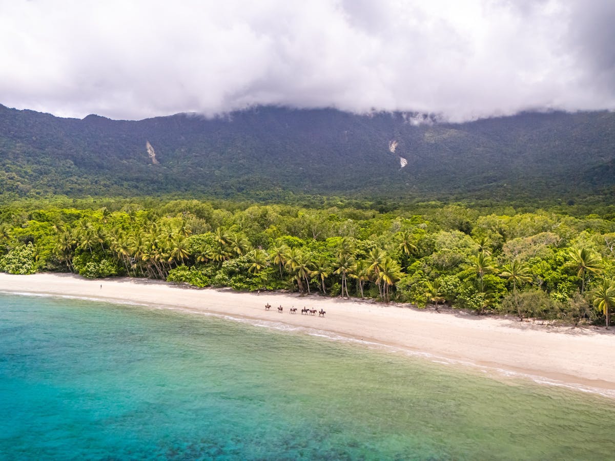 Cape Tribulation