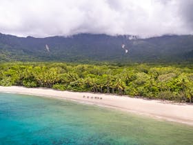 Cape Tribulation image