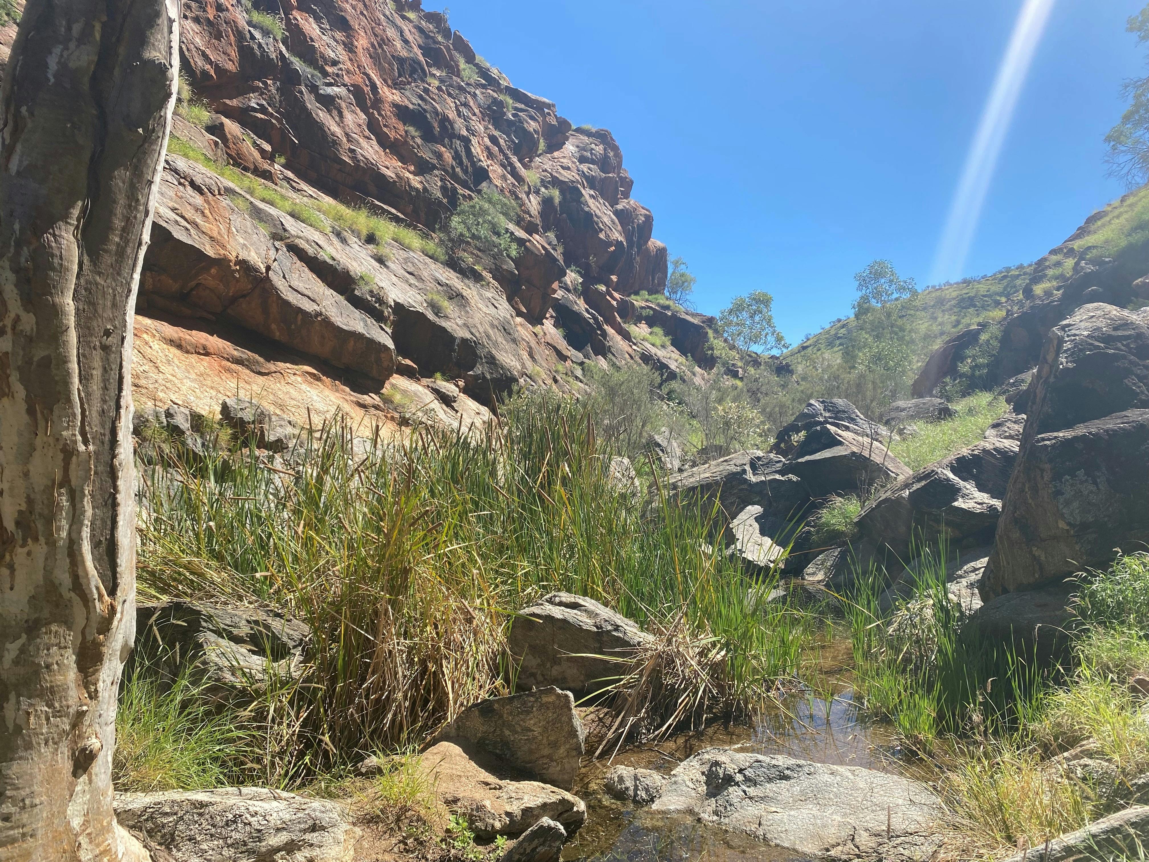 Wallaby Gap_Larapinta Trail