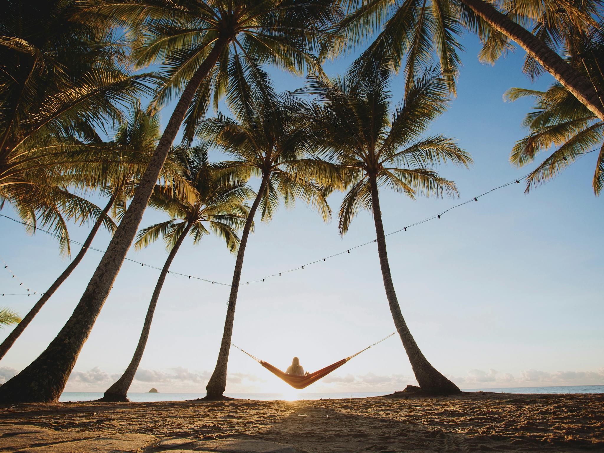 Palm Cove