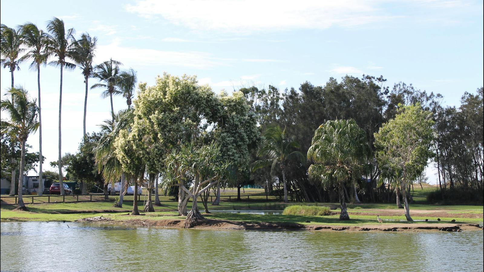 Moore Park