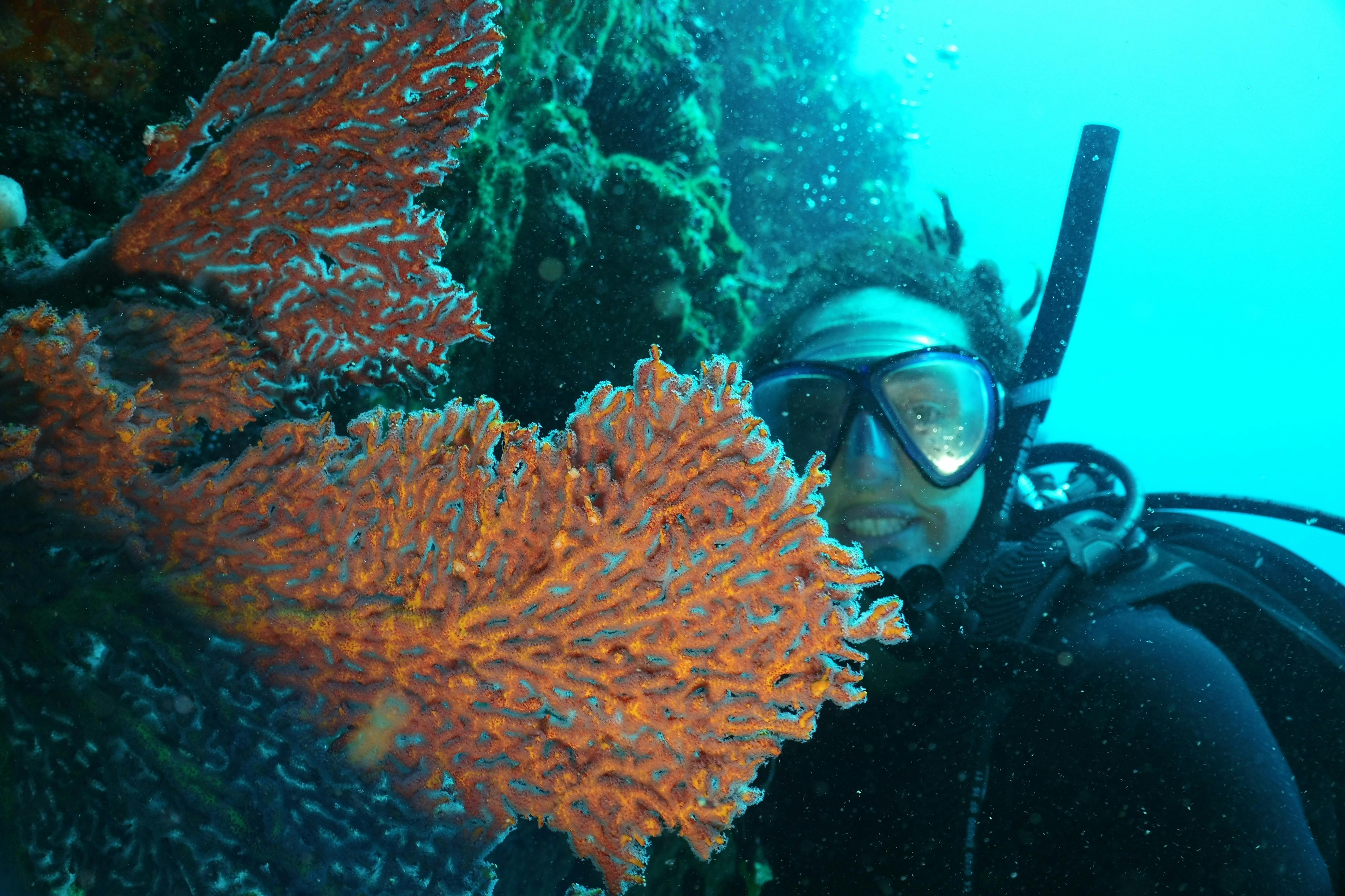 Diver with fan coral
