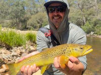 High Country Brown Trout