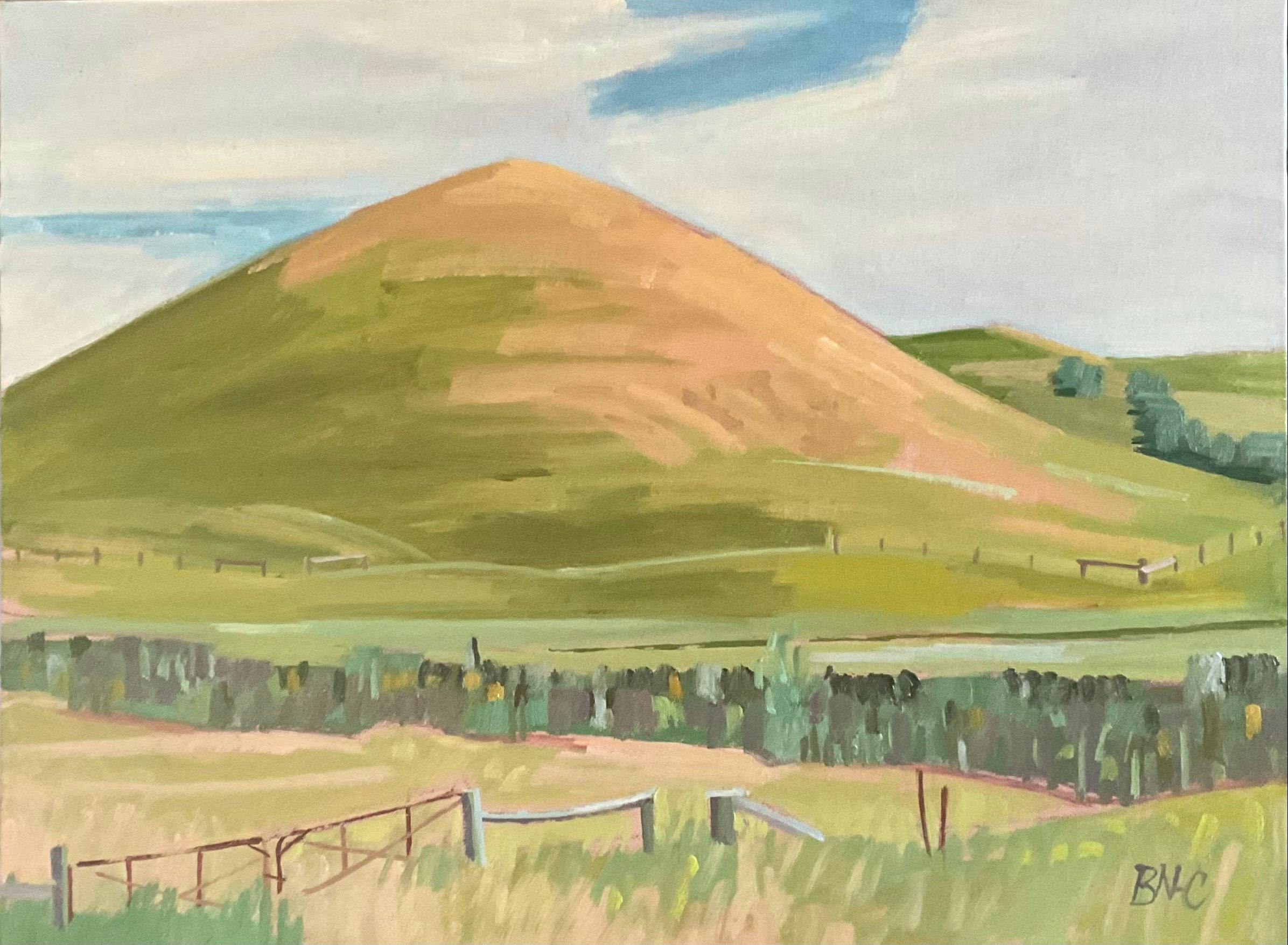 Mark Dober and Brendan Nichol : Pastoral Landscapes
