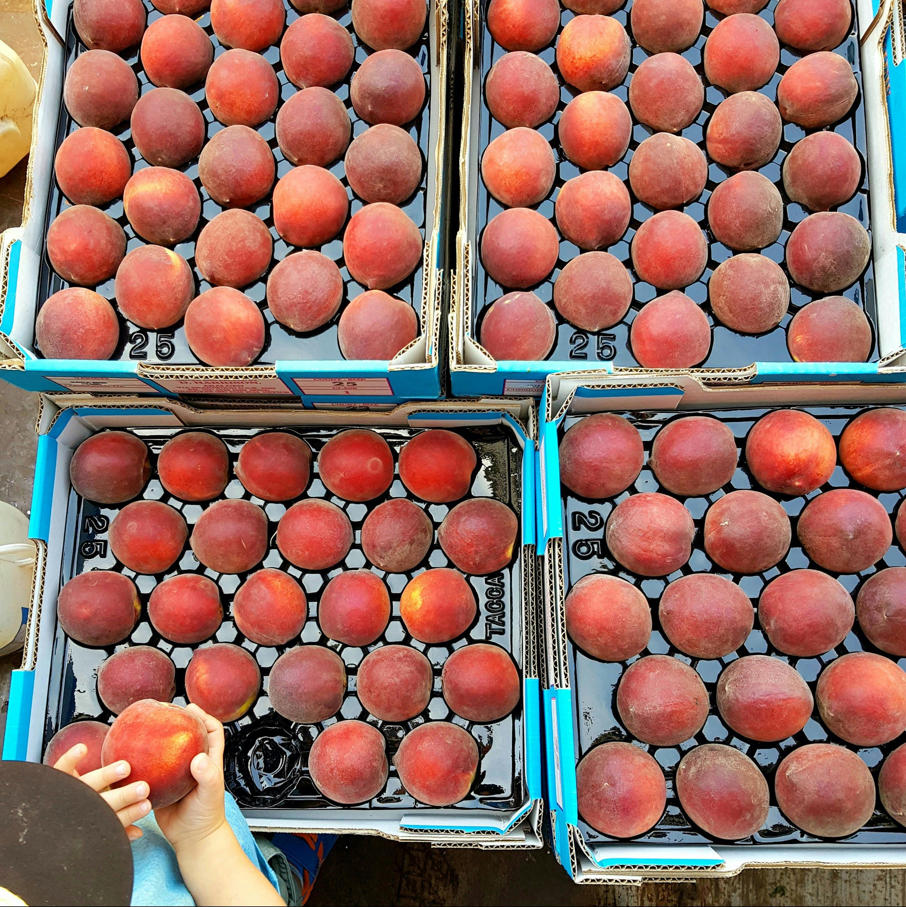 南地水果和蔬菜