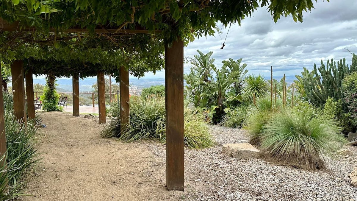15m wisteria walkway