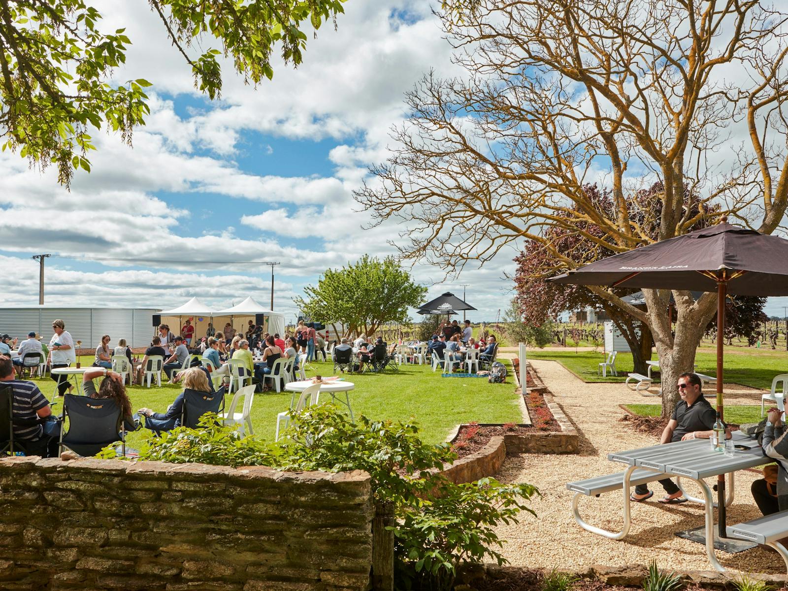 Image for Coonawarra Cabernet Celebrations