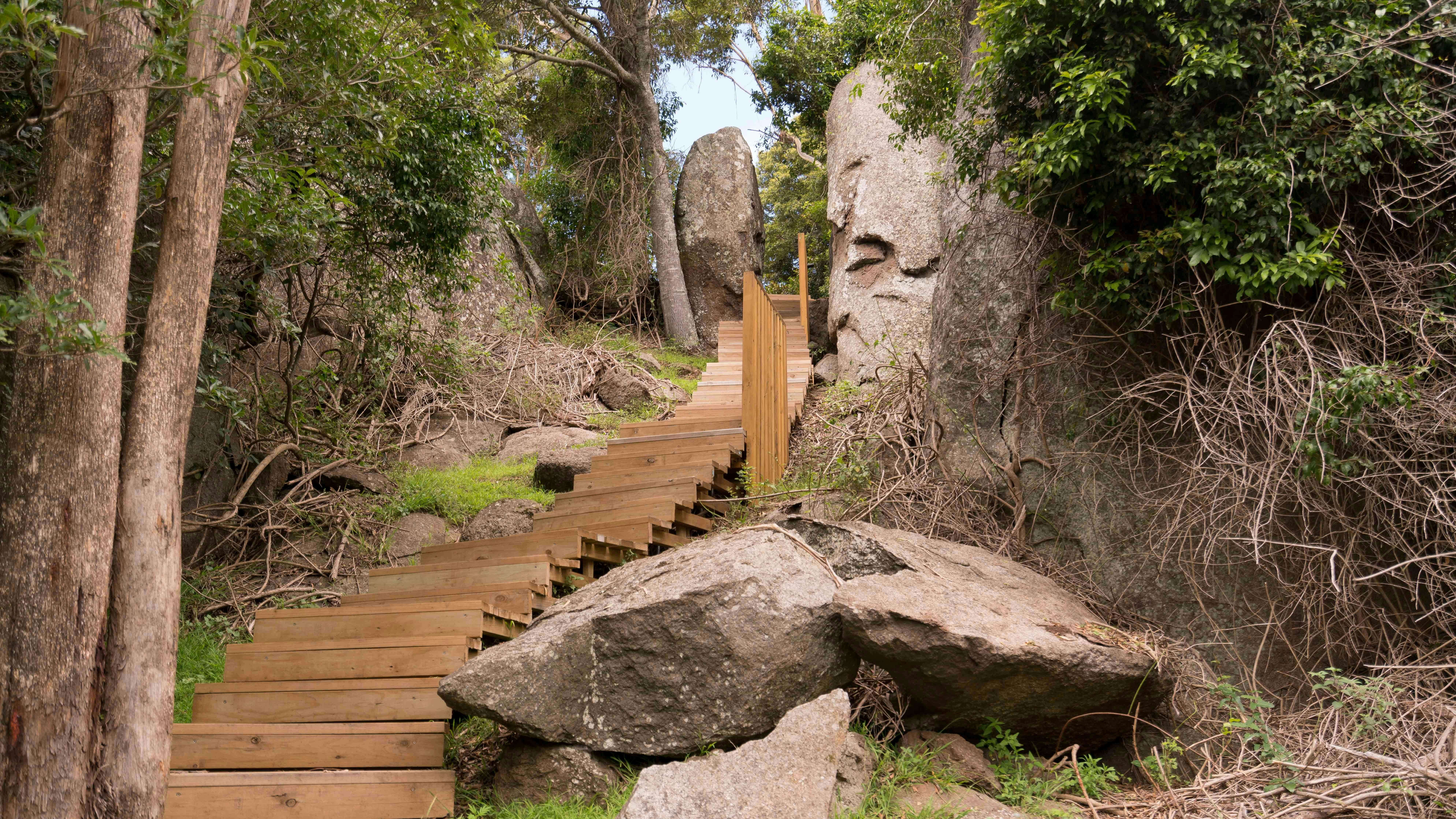The timber staircase