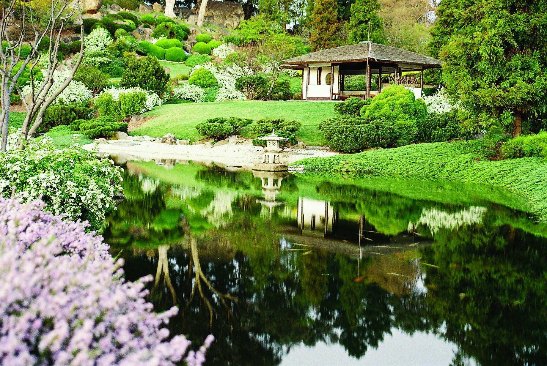 Visit the beautiful Japanese Gardens in Cowra