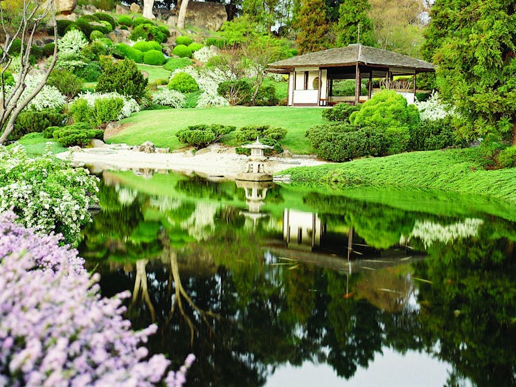 Visit the beautiful Japanese Gardens in Cowra