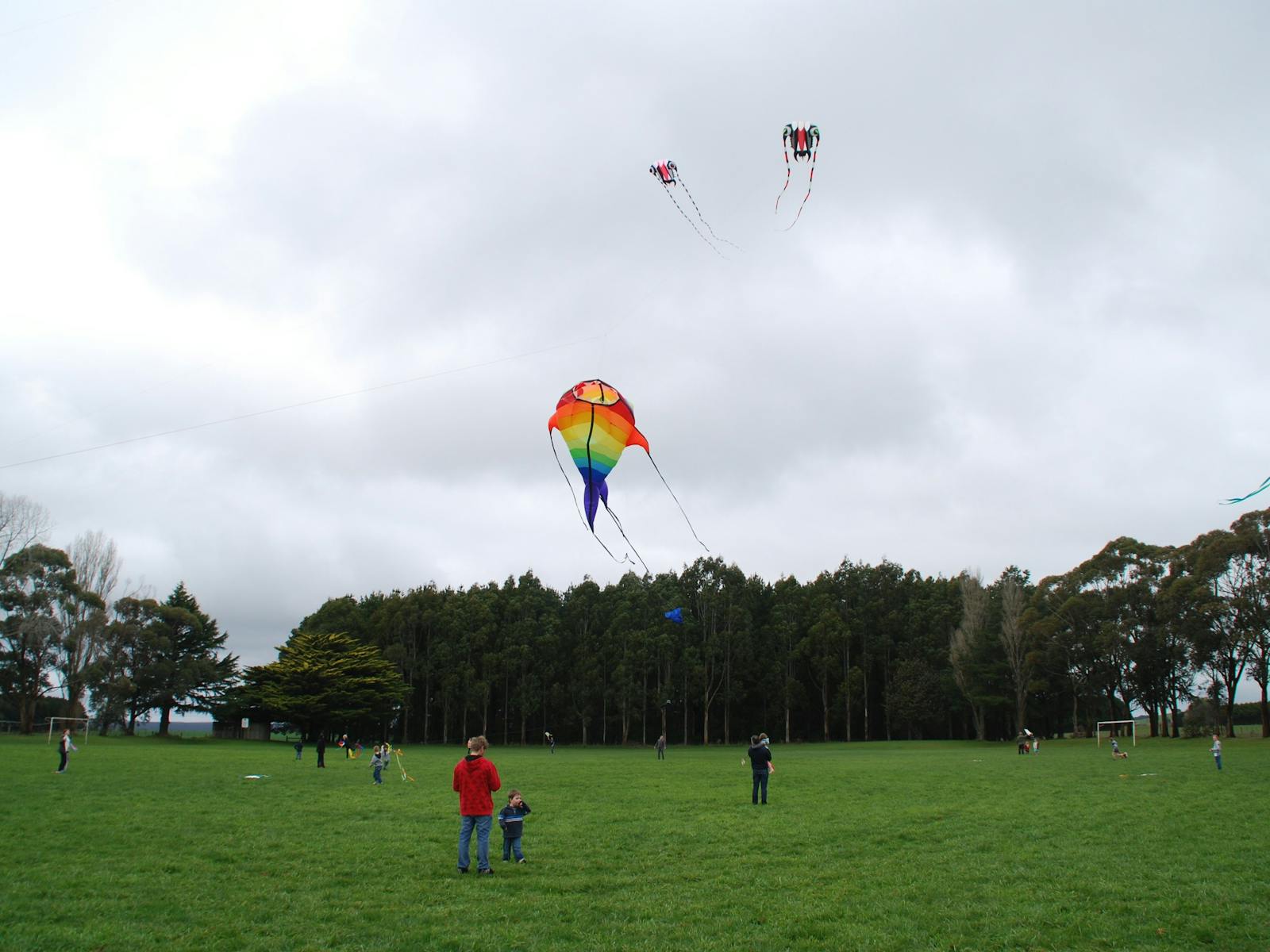 Image for Dean Kite Festival