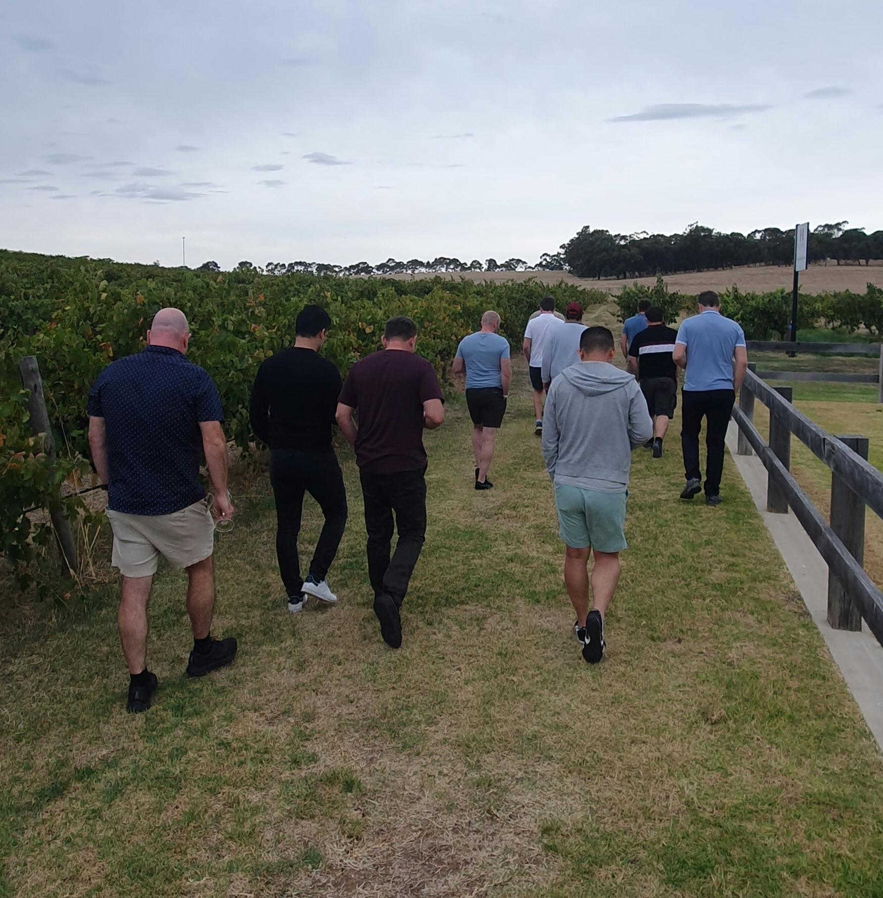 All Barossa Tours Guided Tour