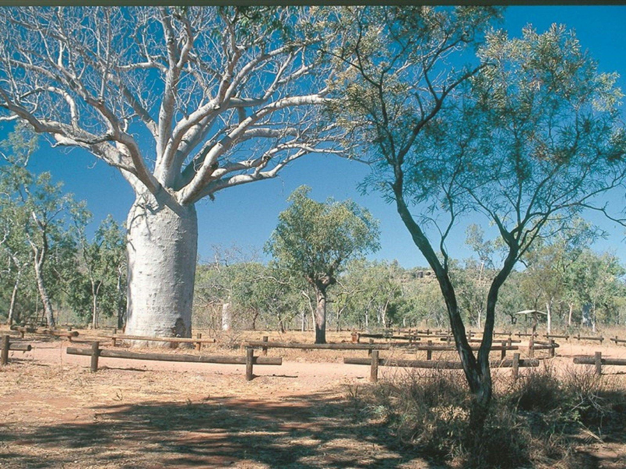 Bullita Homestead