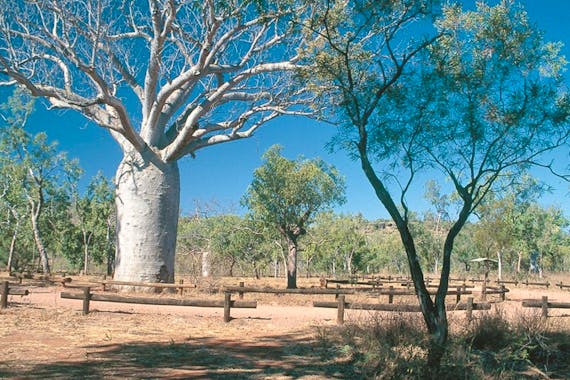 Bullita Homestead