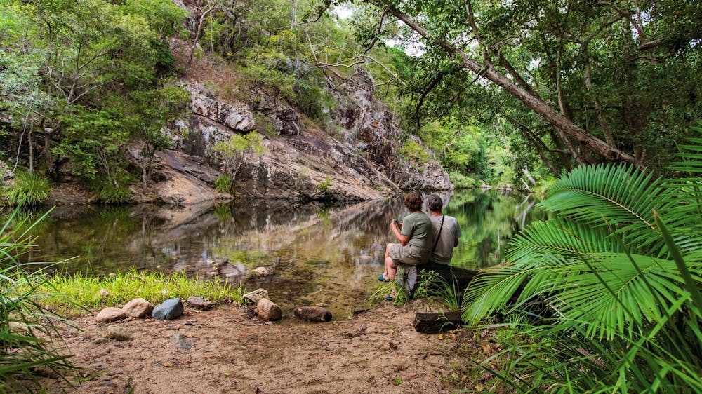 Jourama Falls track, Paluma Range National Park