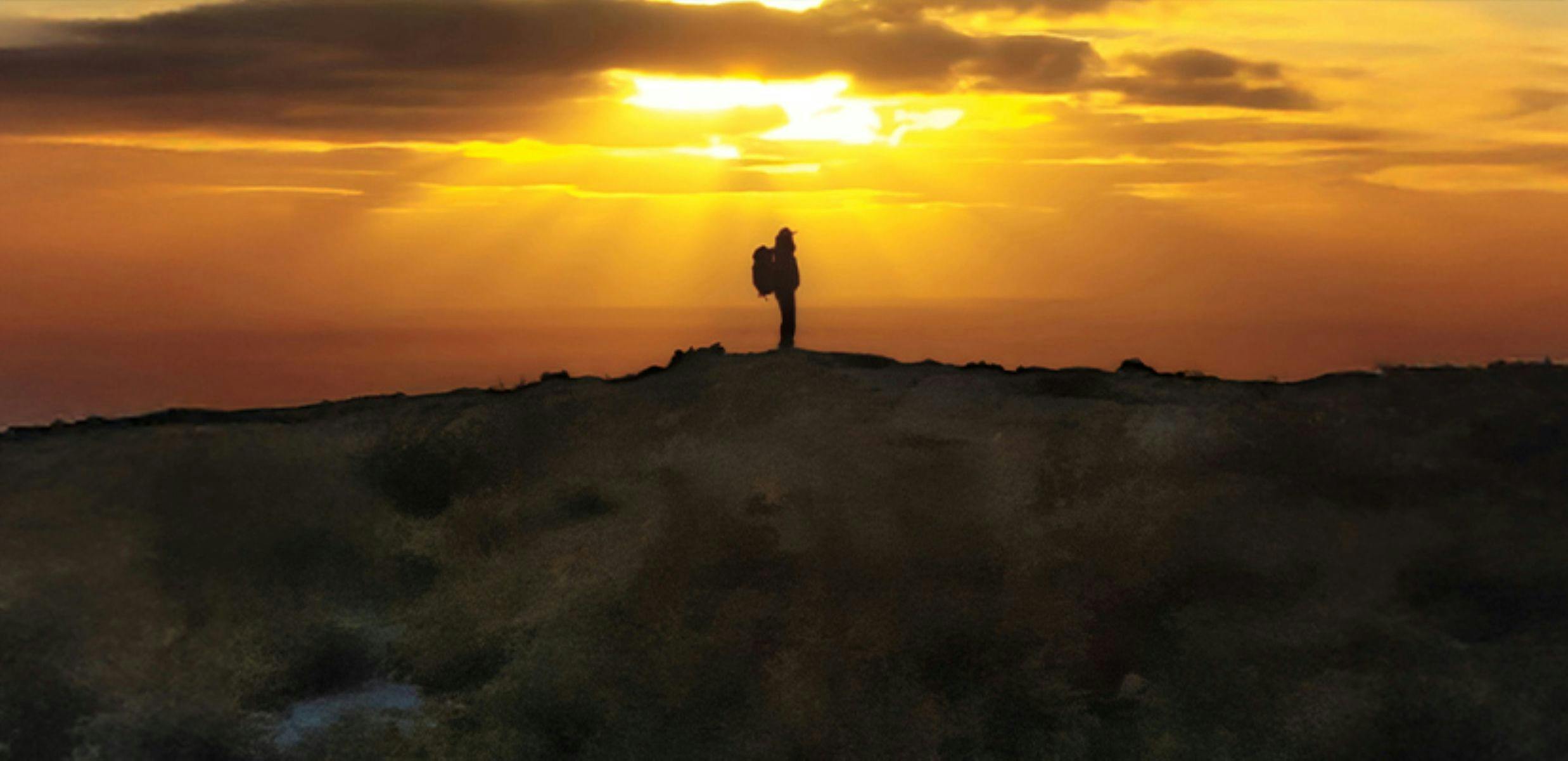 500 Days in the Wild