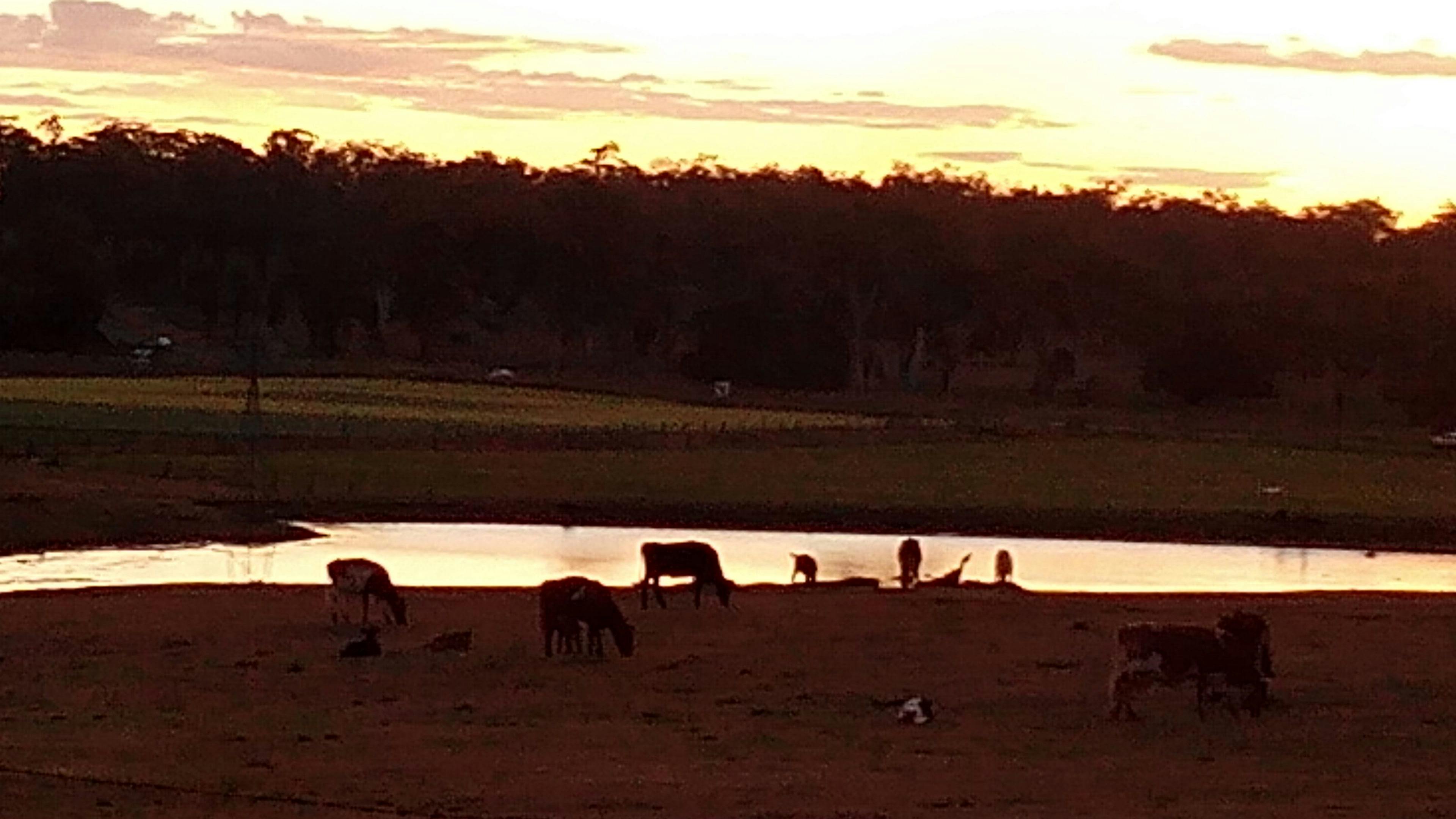 Sunset over the dam