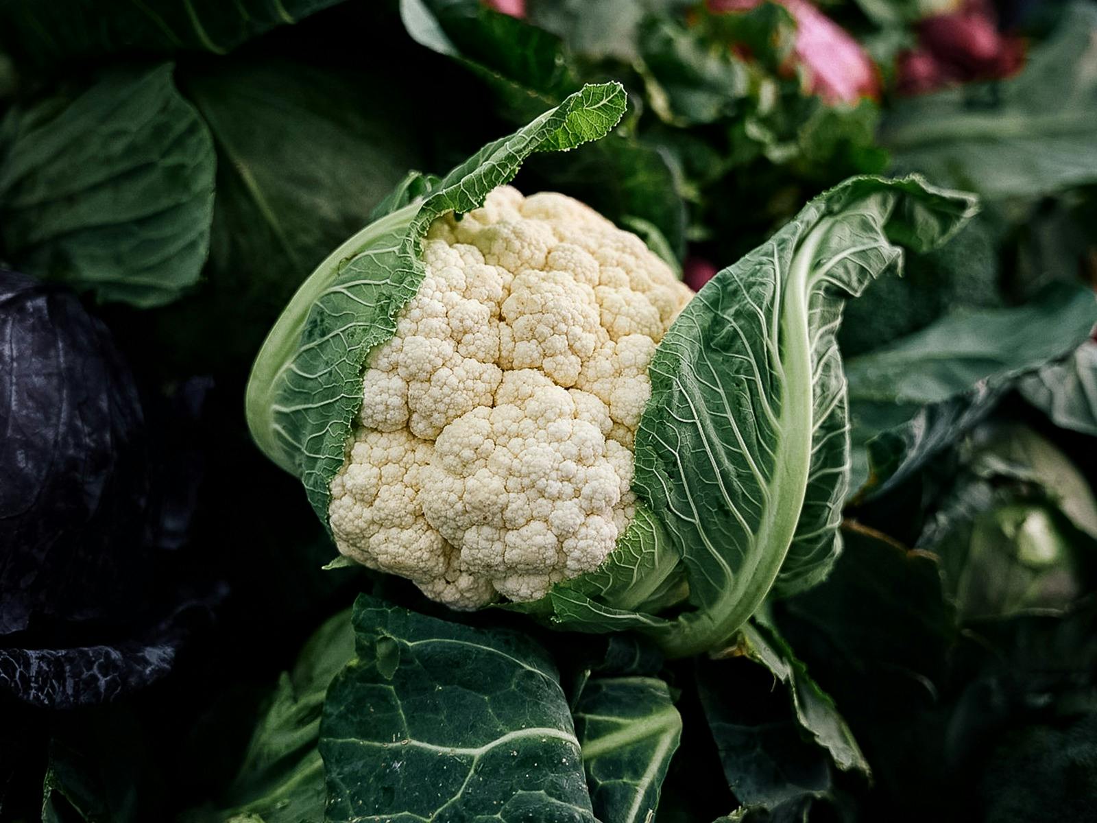 Cauliflower