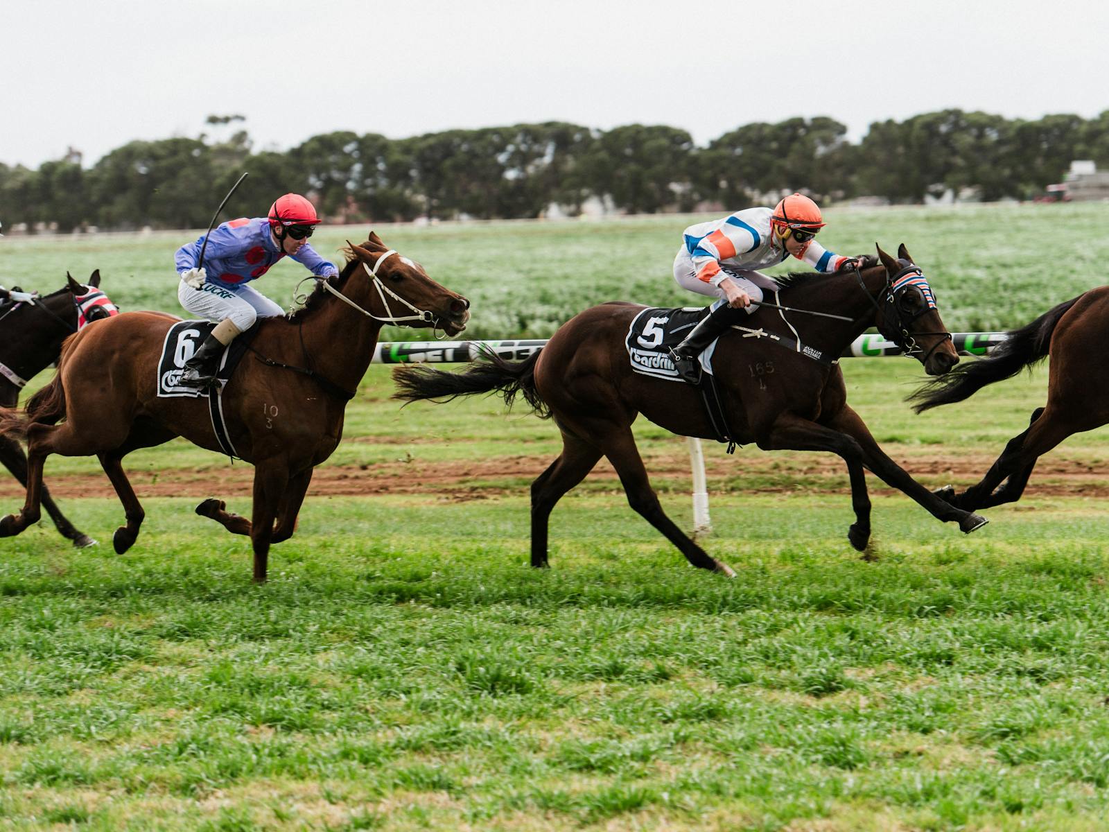 Veterans day pronounce Veterans day pronounce