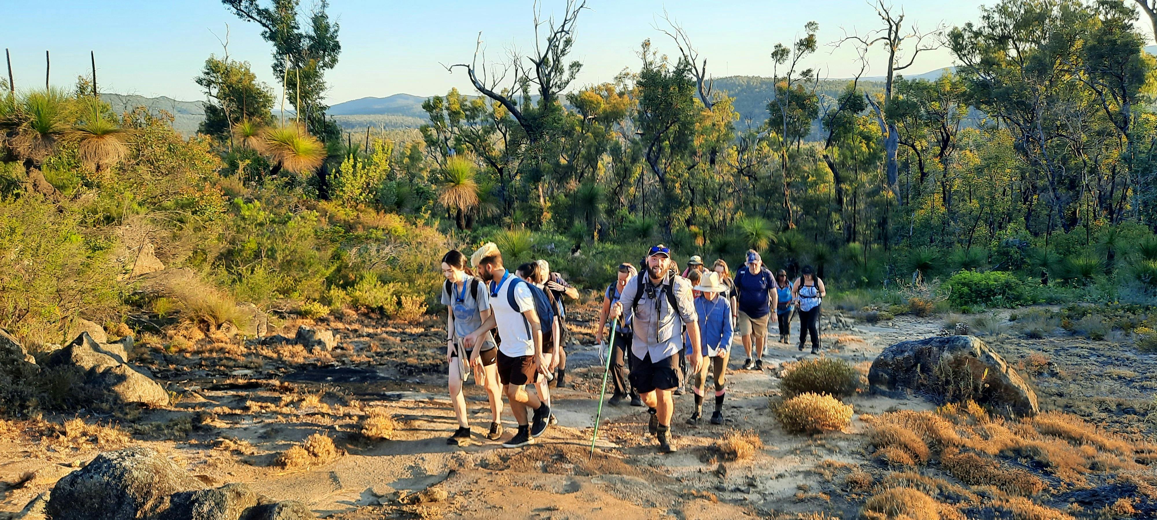 Large group of hikers walk up hill in sunshine surrounded by australian bushland