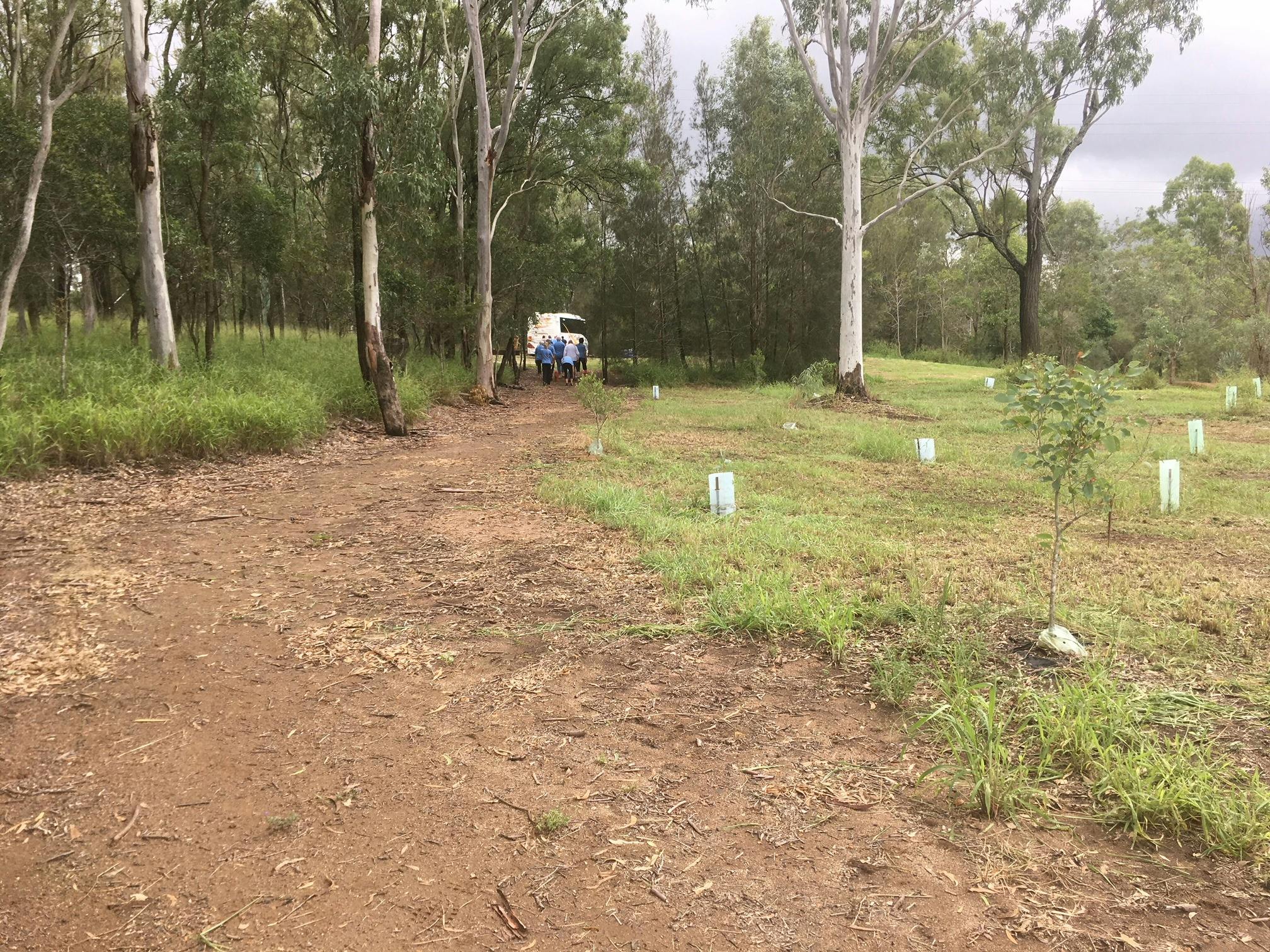 Jensen’s Swamp Environmental Reserve
