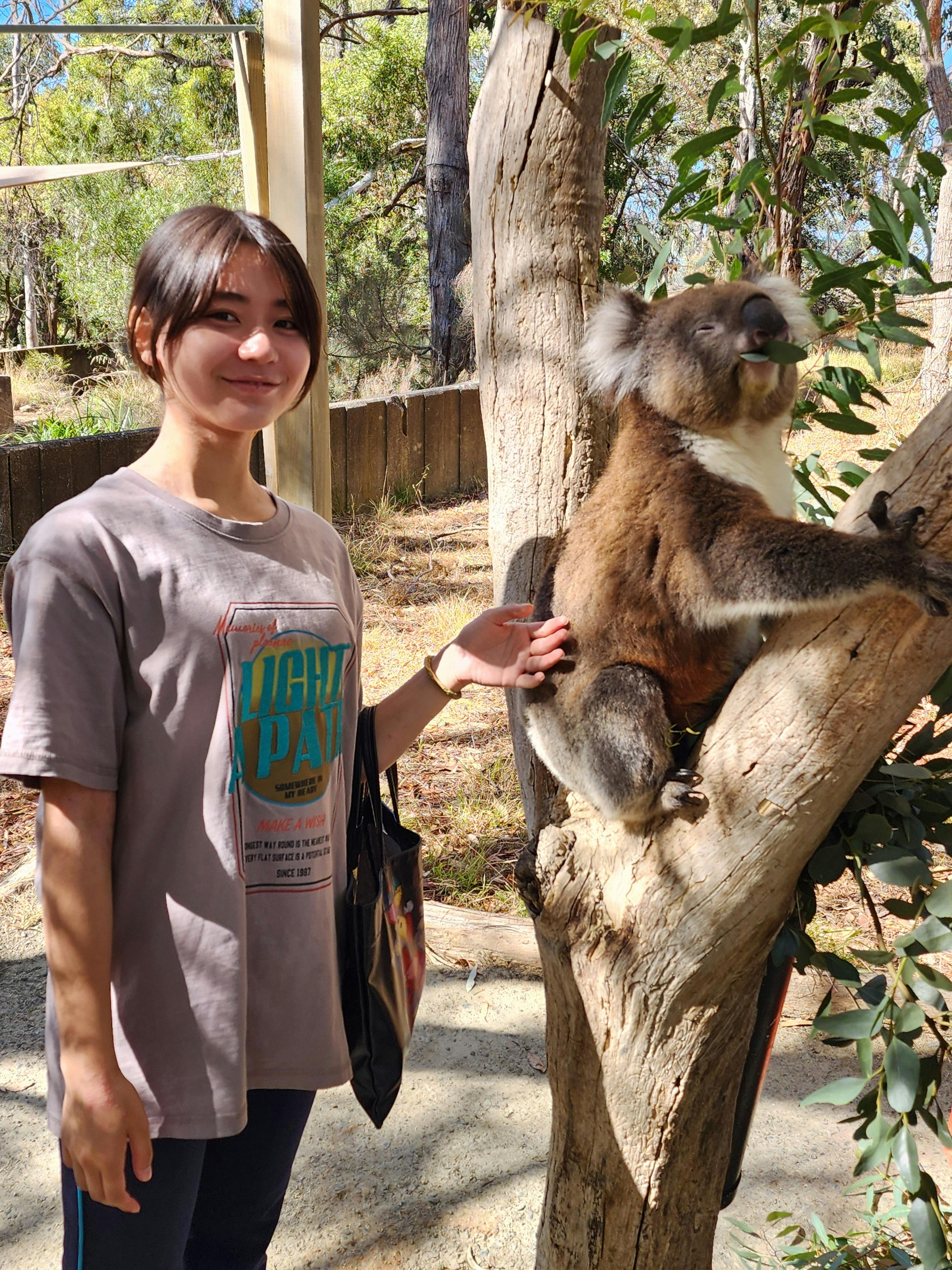 Female standing next to a koala with her hand on the koala's back.
