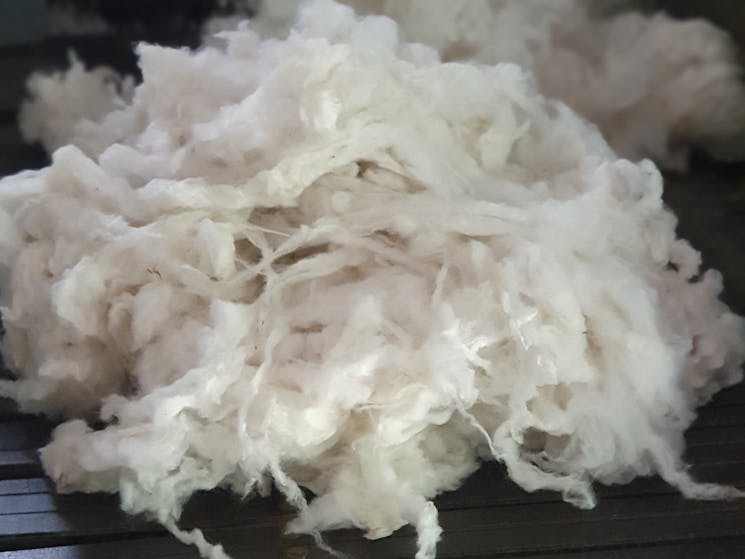 Scoured Wool process