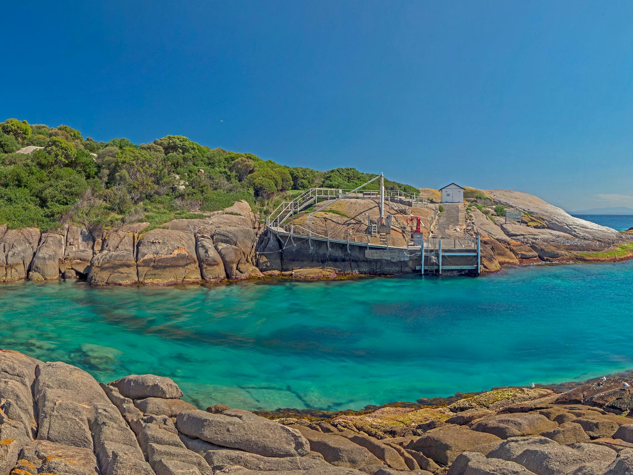 Montague Island Nature Reserve SelfGuided Overnight Stay NSW