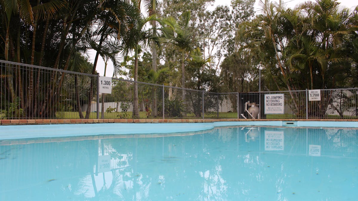 Blue swimming pool surrounded by tropical palm trees.