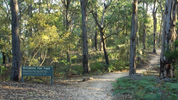 Long Point Lookout