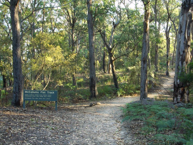 Long Point Lookout | NSW Holidays & Accommodation, Things