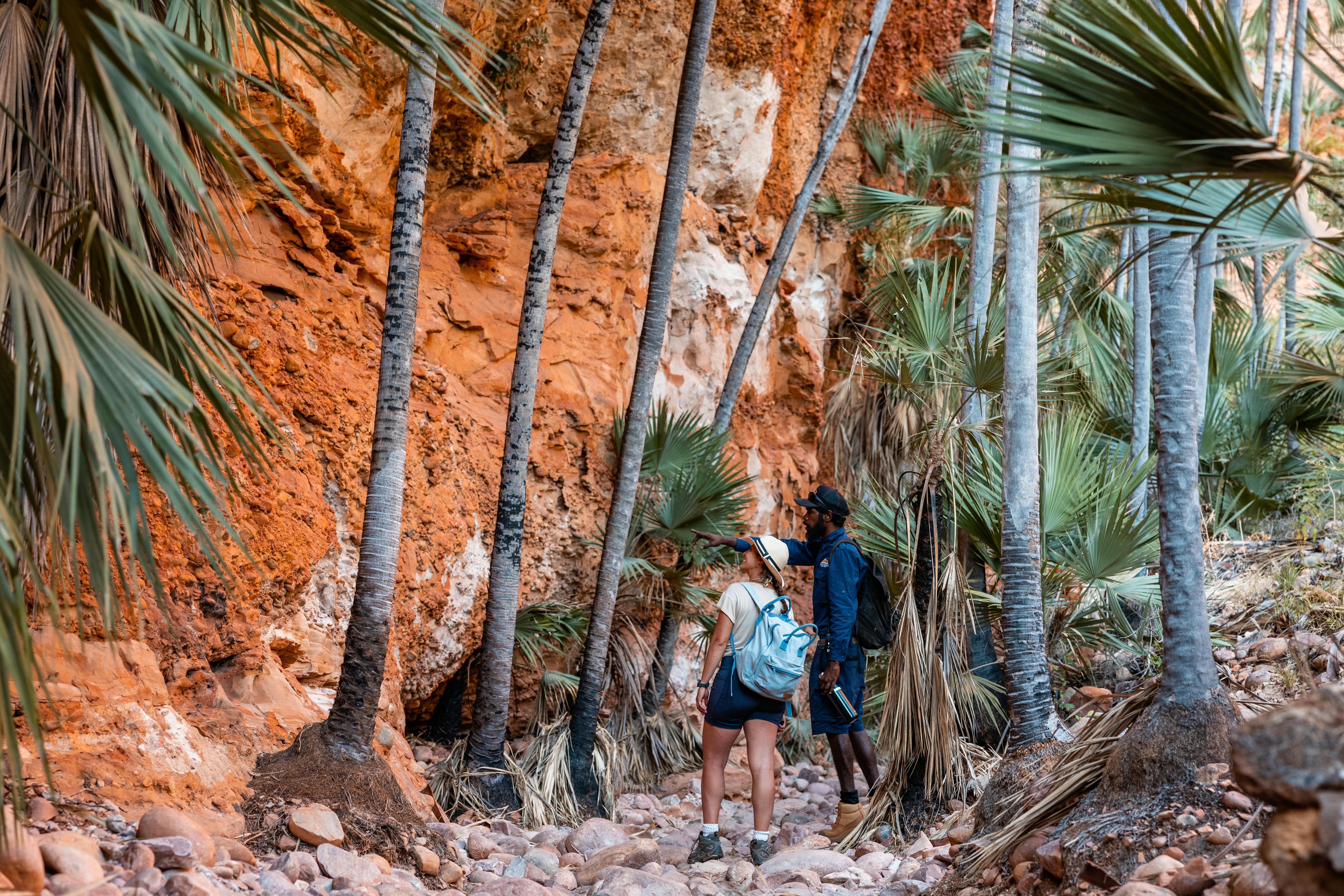 Guided walk into Echidna Chasm