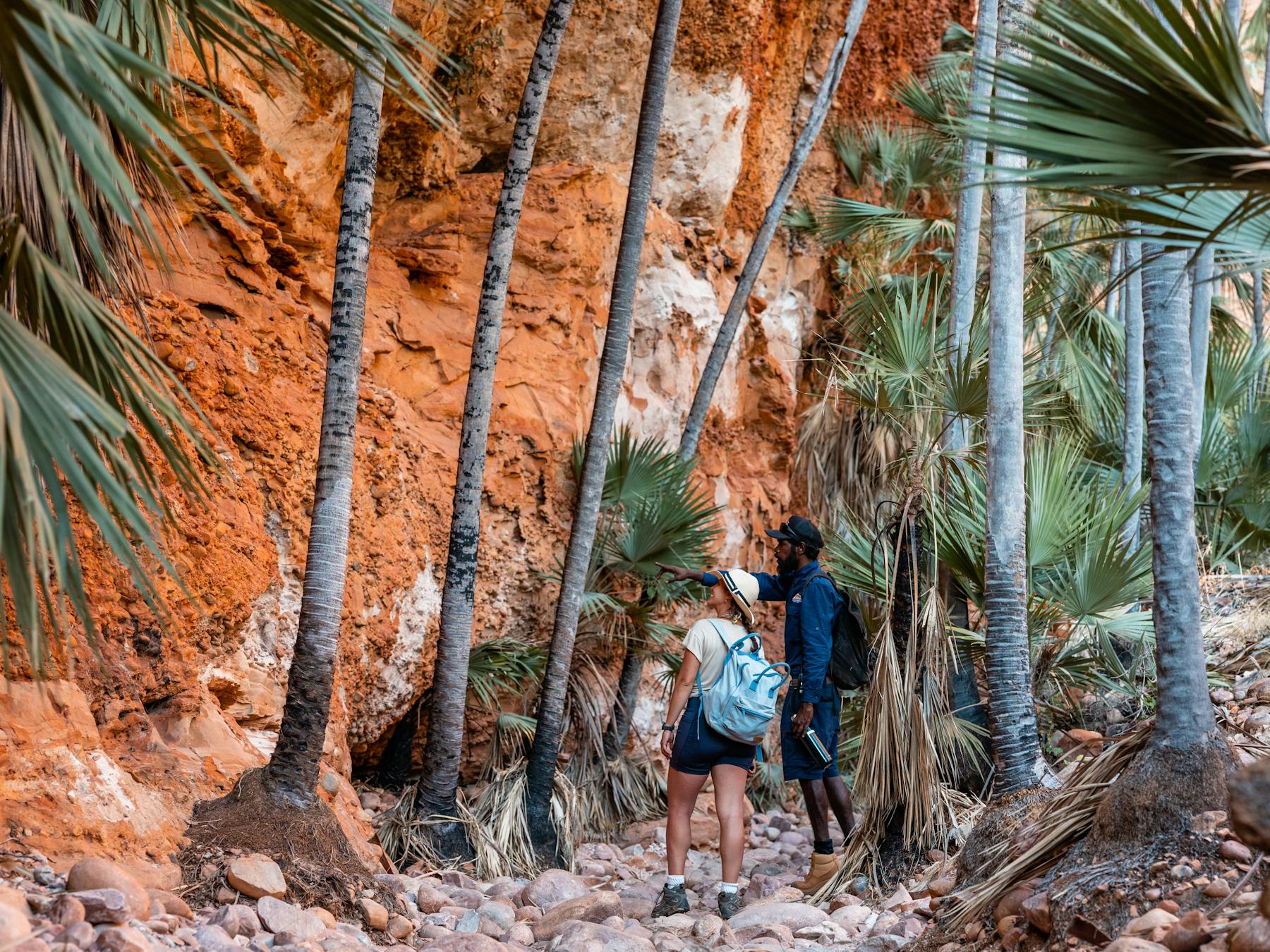 Guided walk into Echidna Chasm