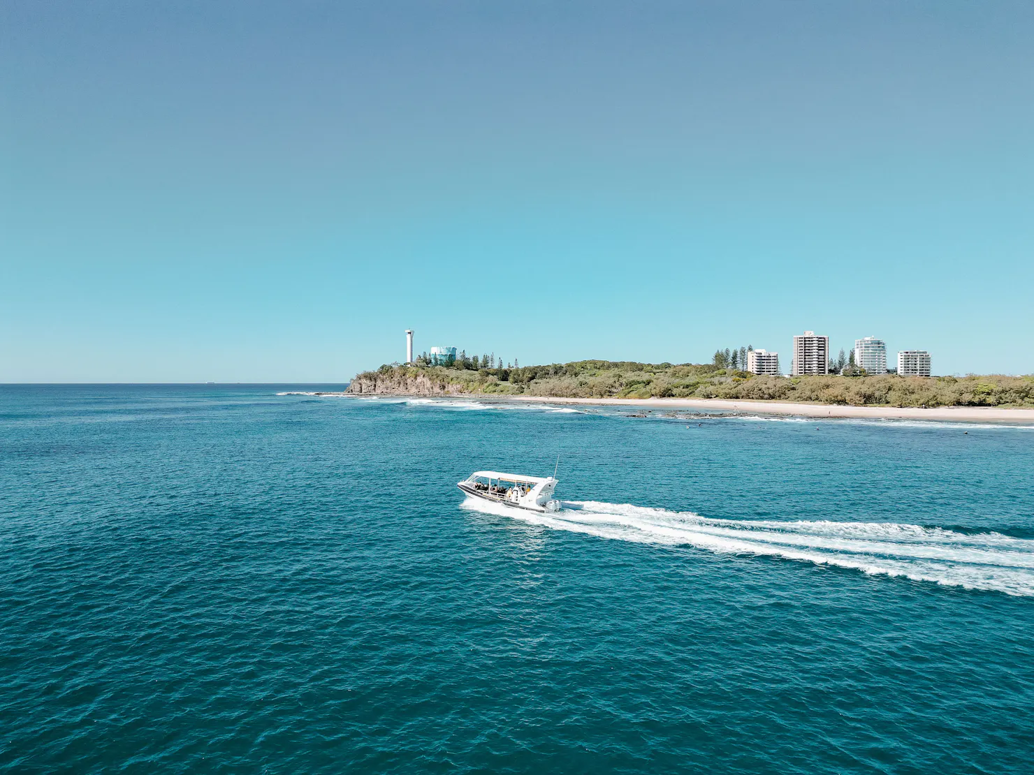 Sunshine Coast Turtle Tour