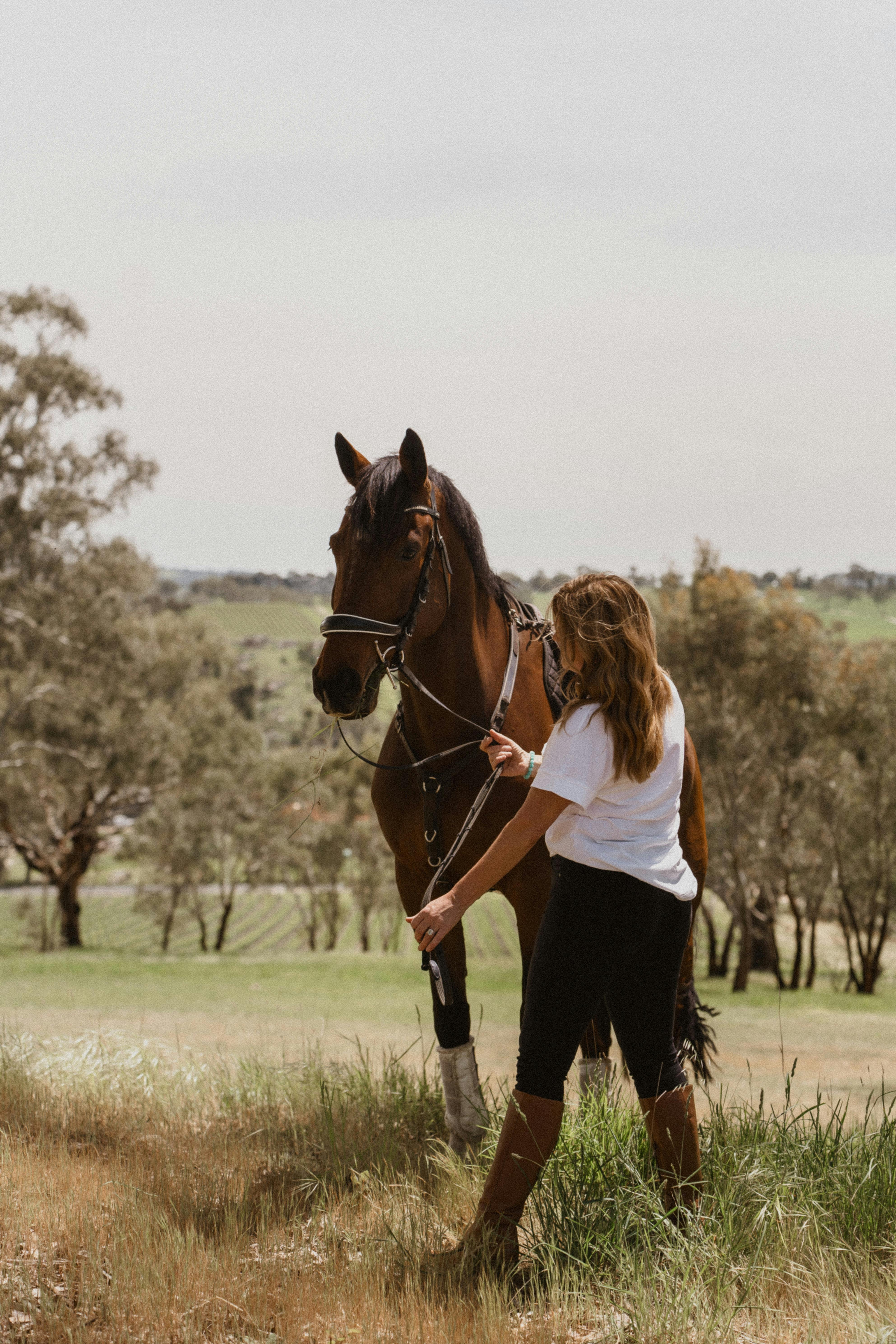 VIP Private Horse Trail Ride & Lunch with Olympian Megan Jones at Petaluma