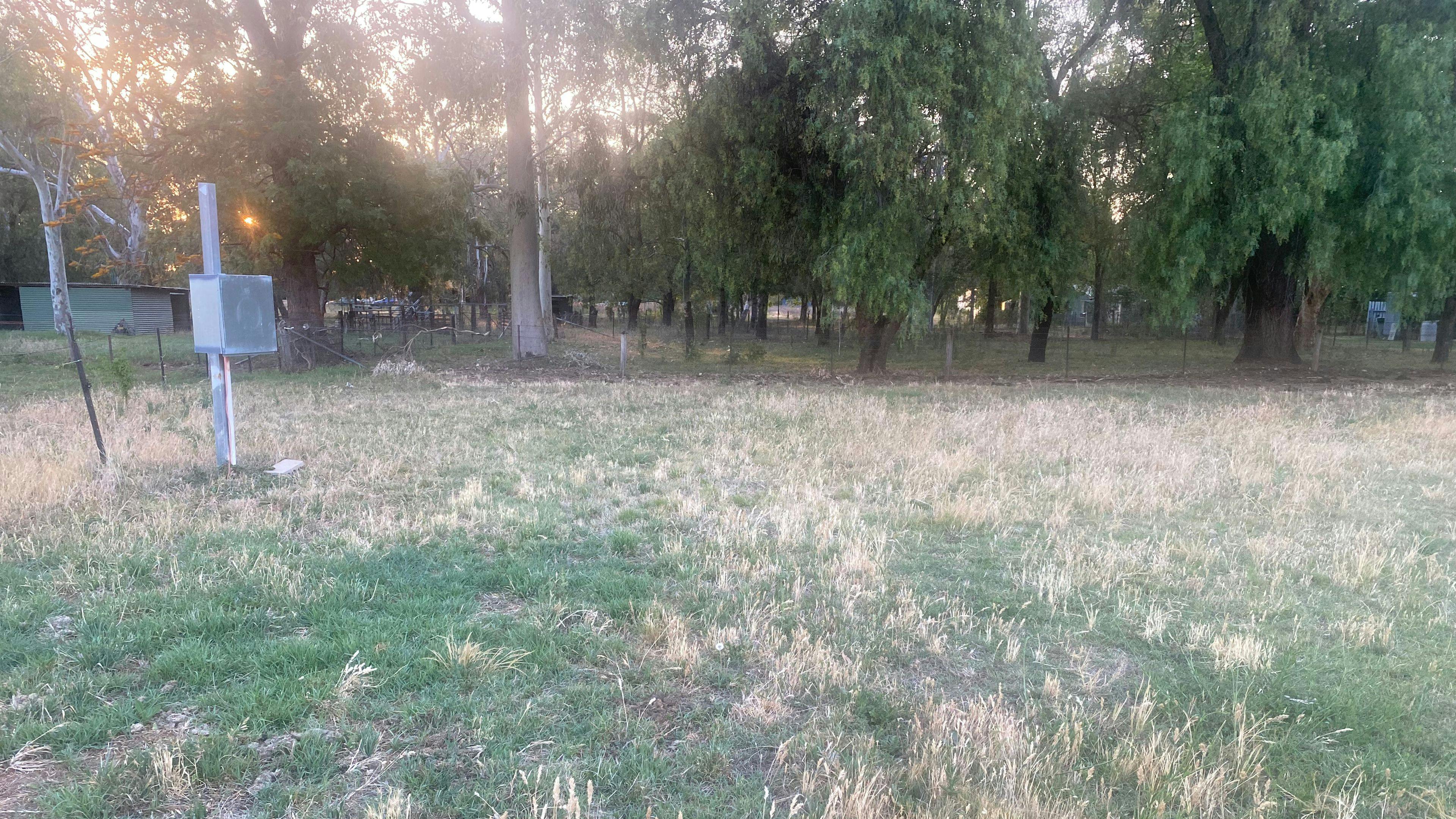 Adela Park