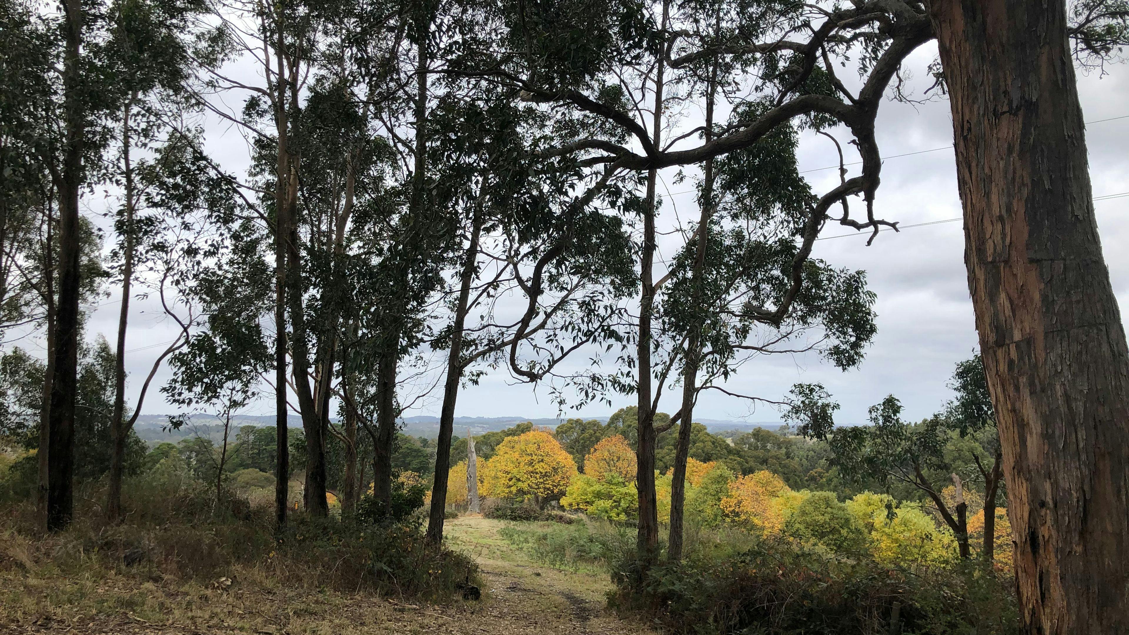 Adelaide Hills Magical Retreat