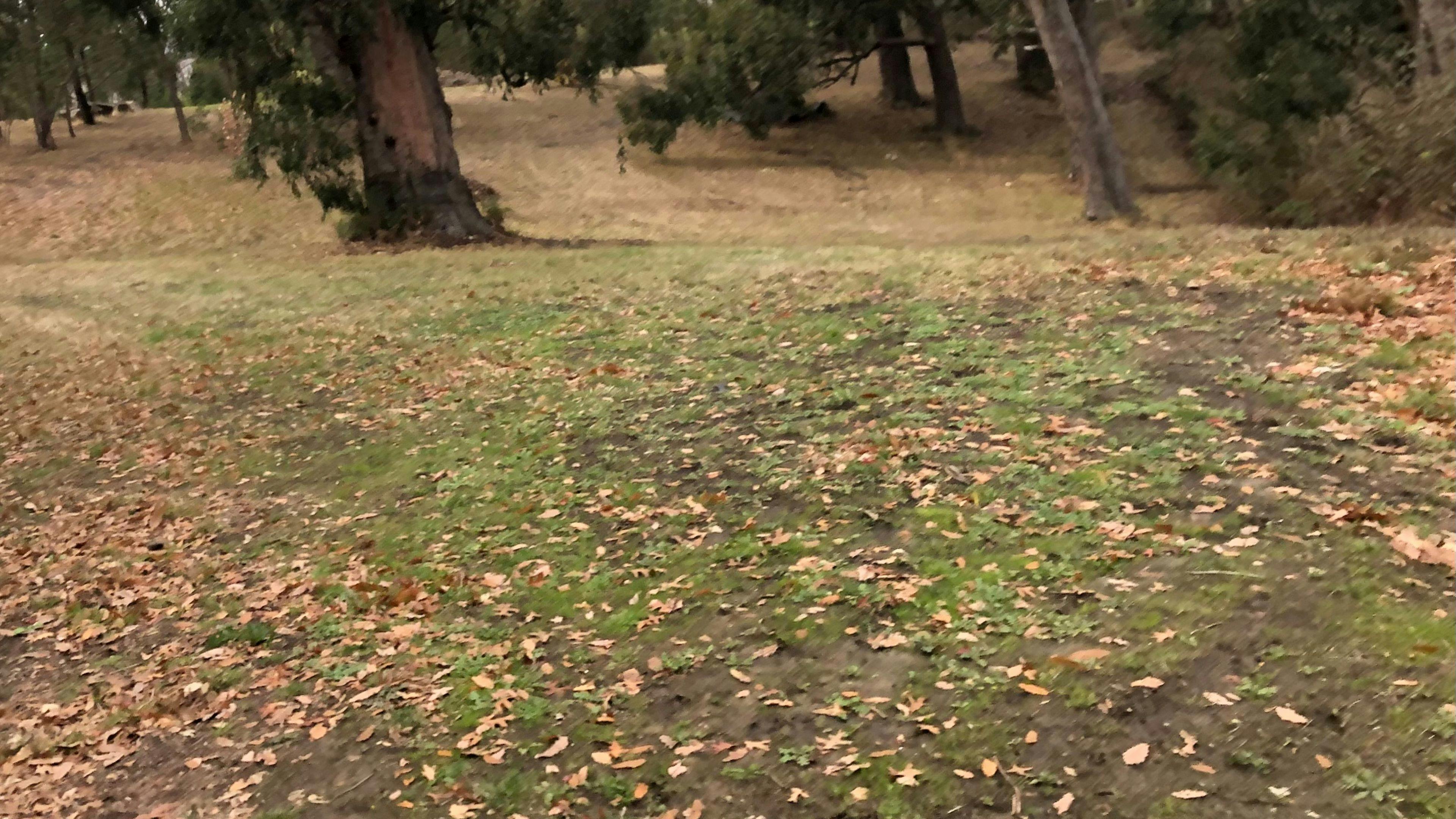 Adelaide Hills Magical Retreat