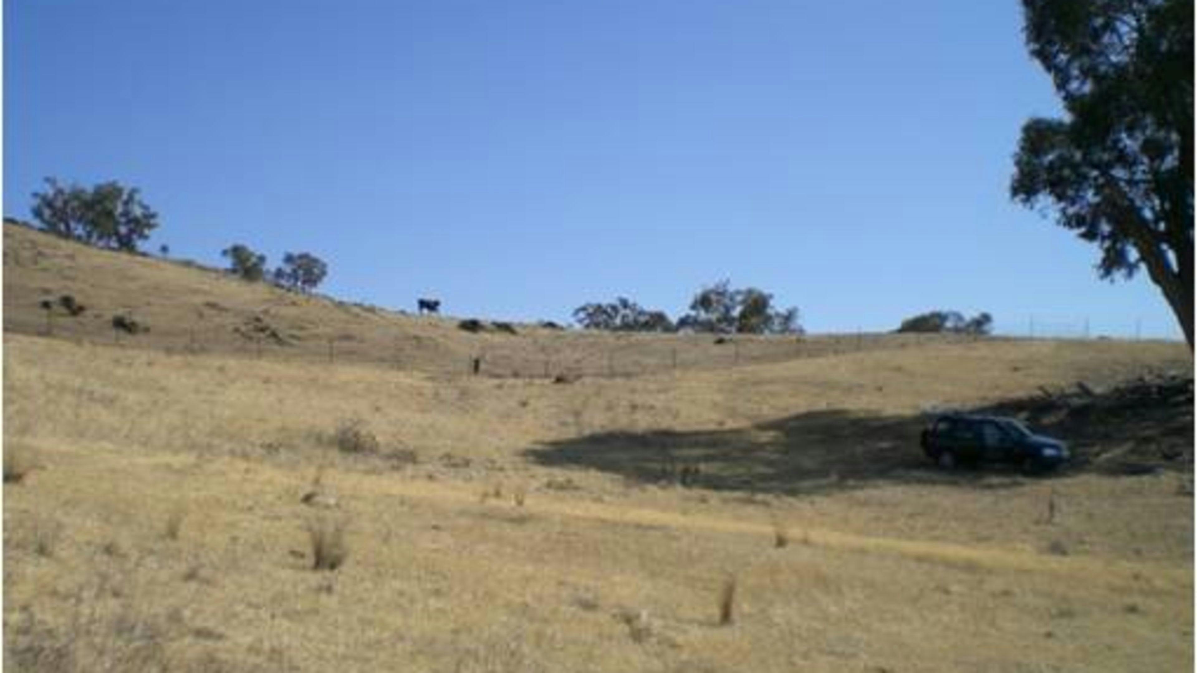 Adelong Creek Camp