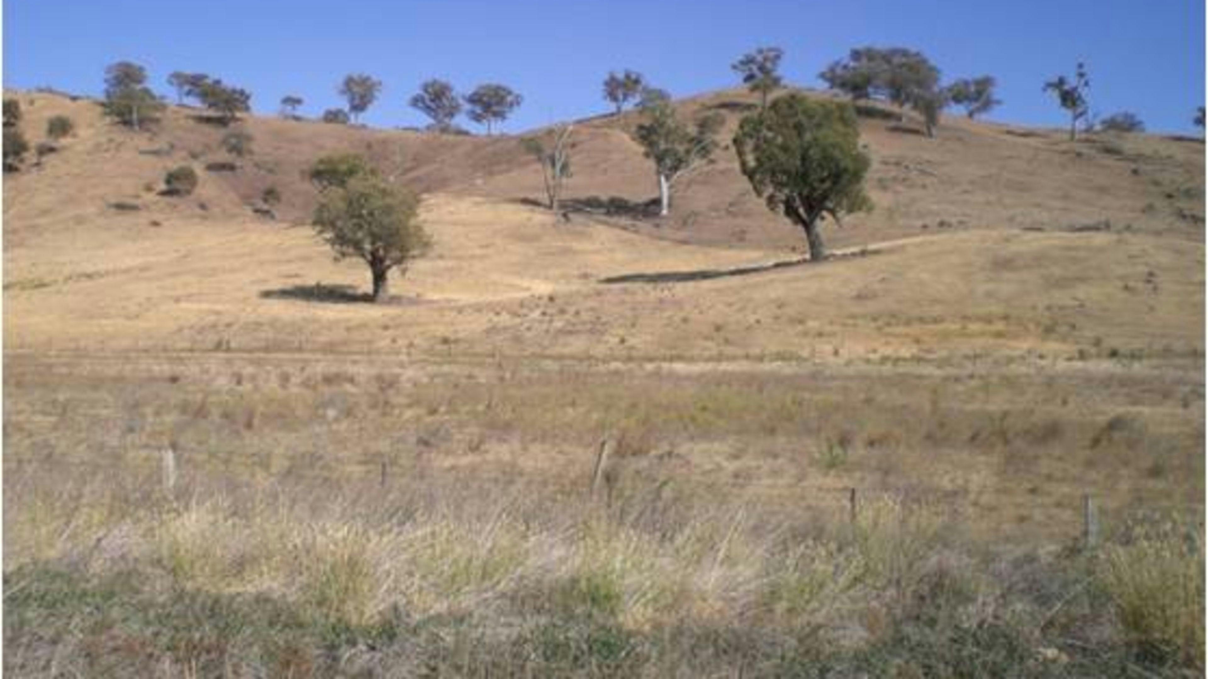 Adelong Creek Camp