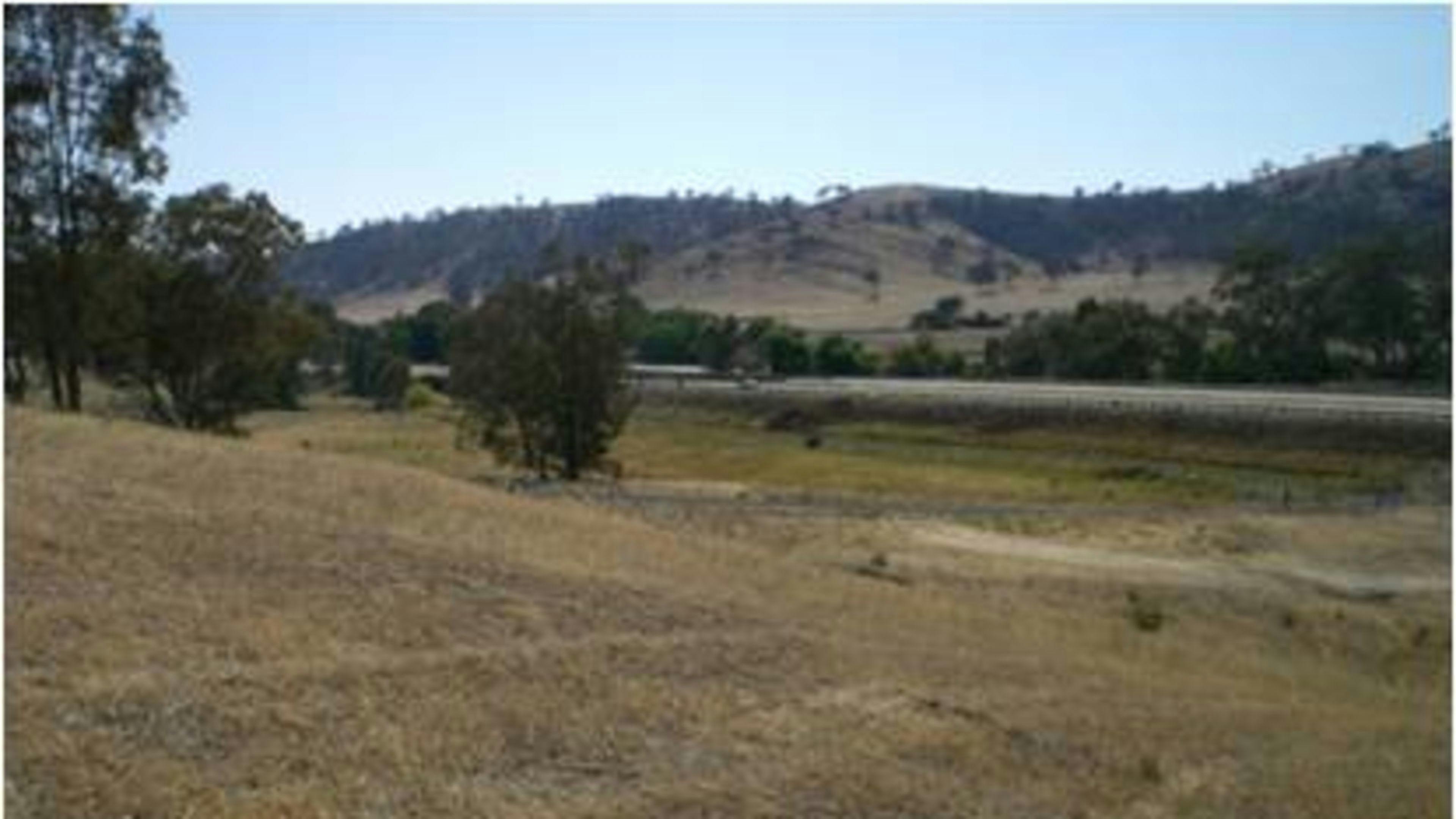 Adelong Creek Camp