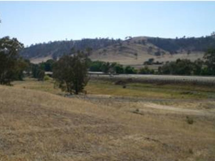 Adelong Creek Camp