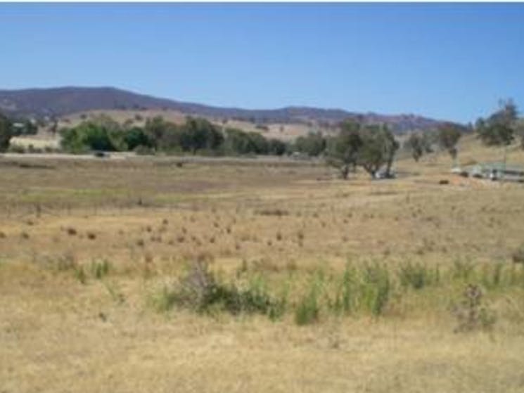 Adelong Creek Camp