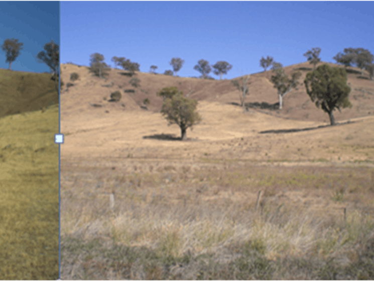 Adelong Creek Camp