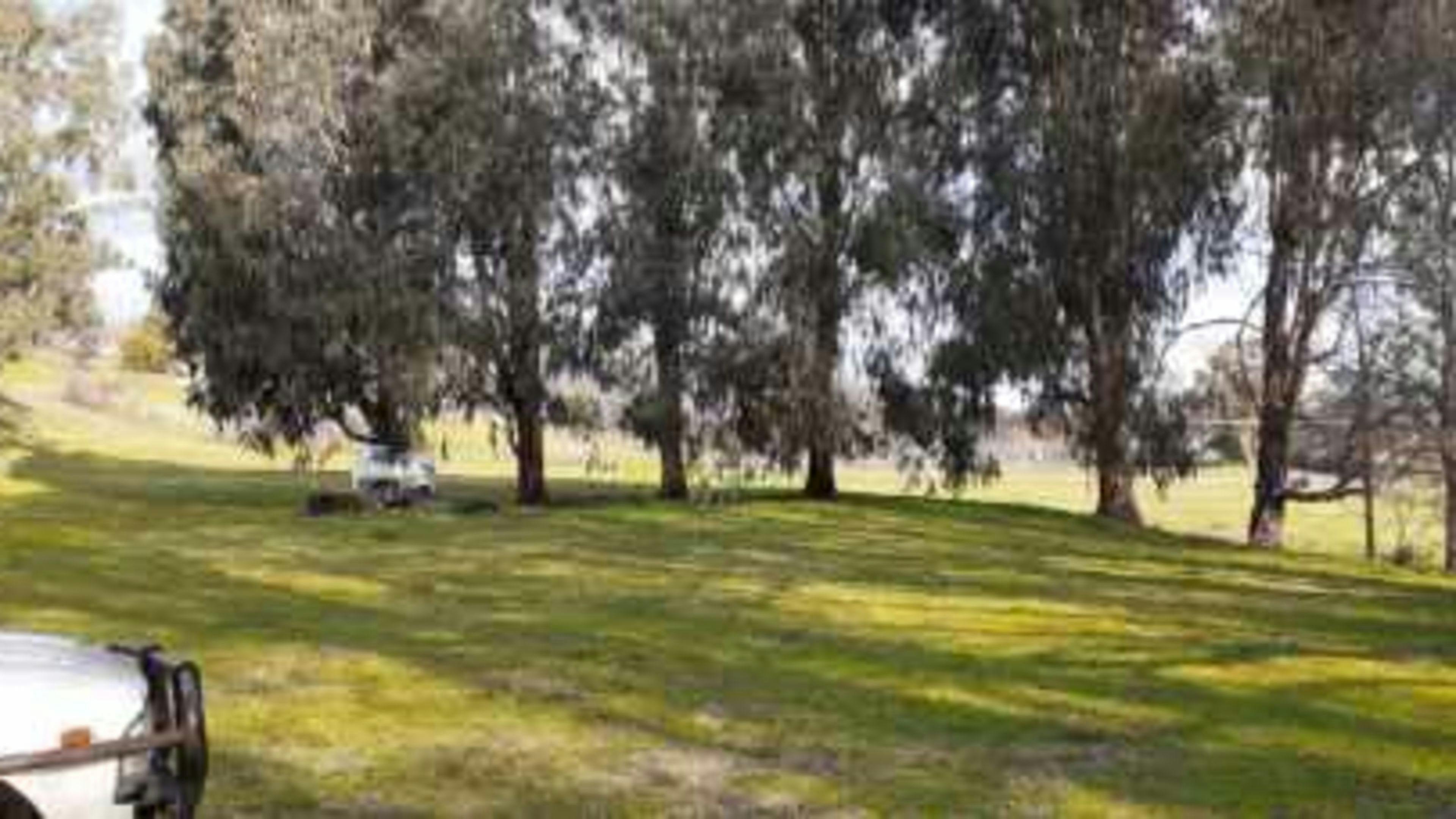 Adelong Falls Bush Camp