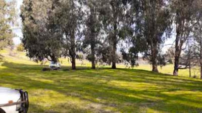 Adelong Falls Bush Camp