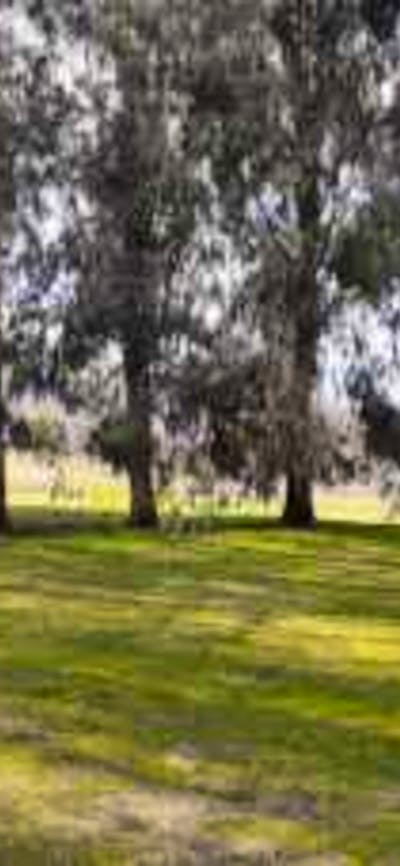 Adelong Falls Bush Camp