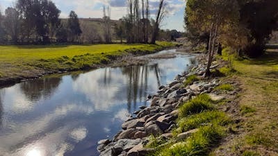 Adelong Falls Bush Camp